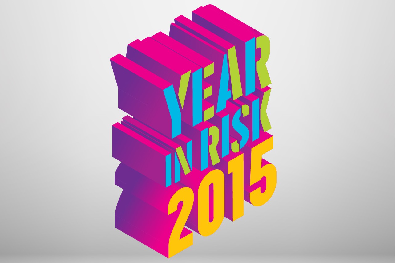 year in risk 2015