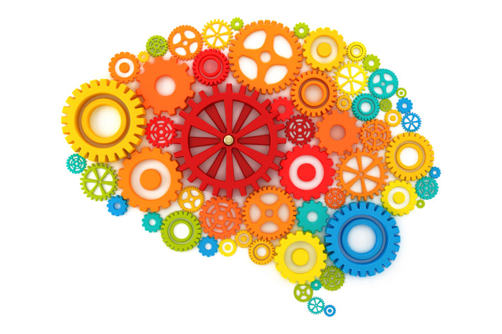 brain