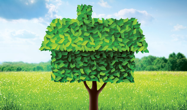 green-building