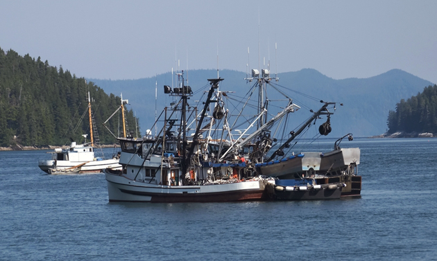 fishing boat