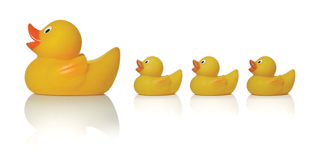 insurer_rubberduck