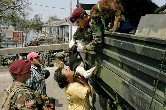 animals in natural disasters animals in natural disasters