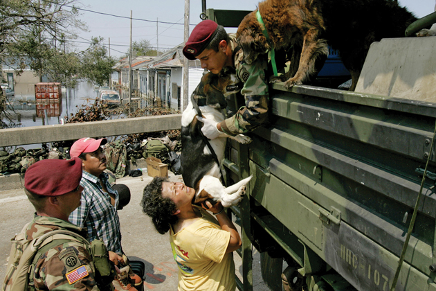 animals in natural disasters