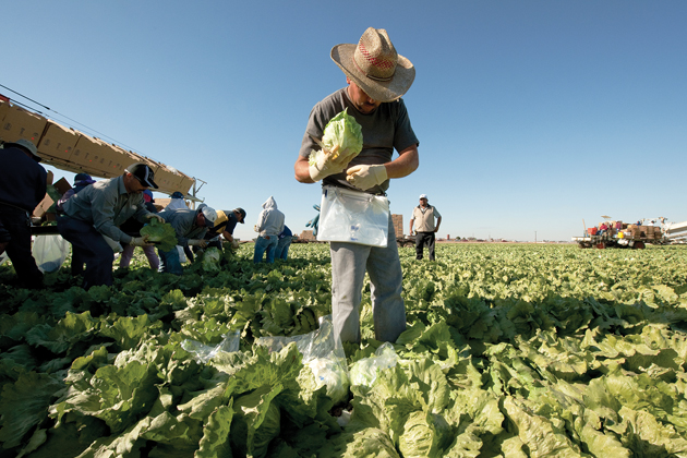 immigration farm workers