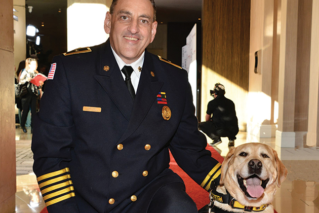 arson dogs judge