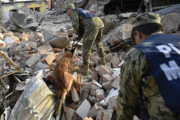 mexico earthquake