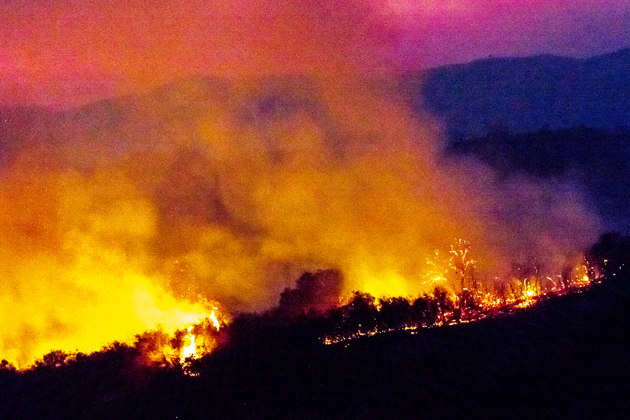 california wildfire risk management