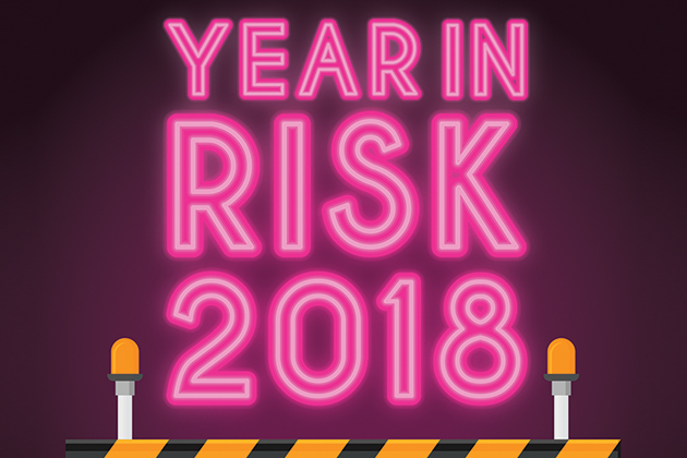 year in risk 2018