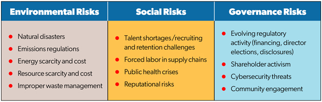 Examples of ESG risks