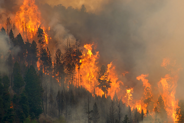 Wildfires burning a mountainside