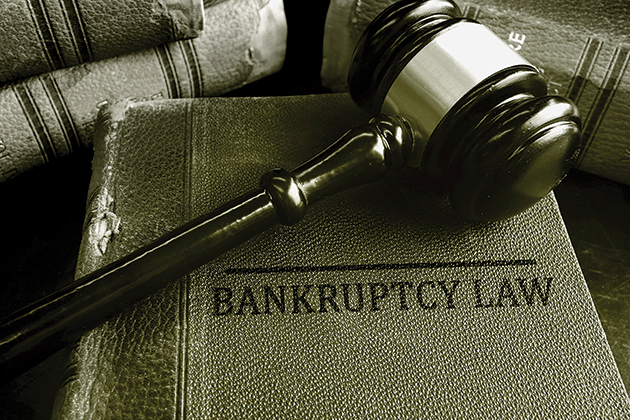 Gavel on a Bankruptcy Law book